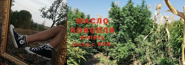МДПВ Елабуга