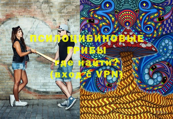 МДПВ Елабуга