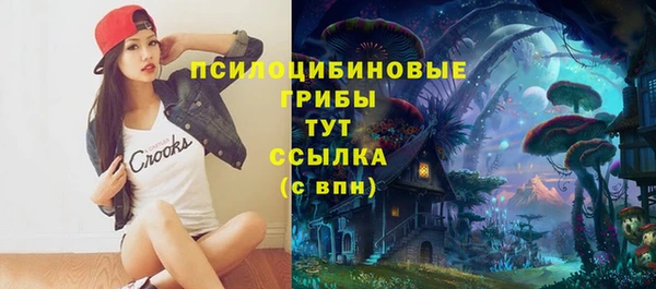 2c-b Нязепетровск