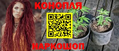 гидра Пенза