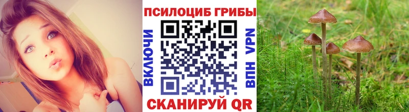 Псилоцибиновые грибы MAGIC MUSHROOMS  shop какой сайт  Реж 